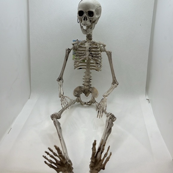 Skeleton and Story Book, like Elf on a Shelf - Picture 12 of 16